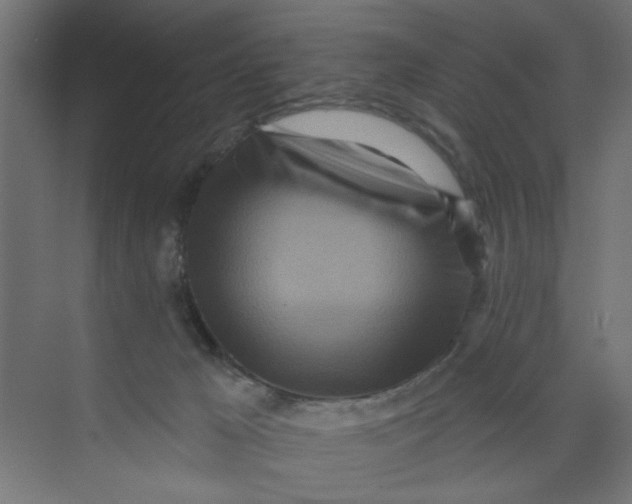 X0000073460029200608181317