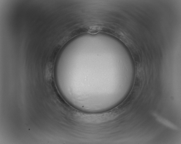 X0000073460030200608181317