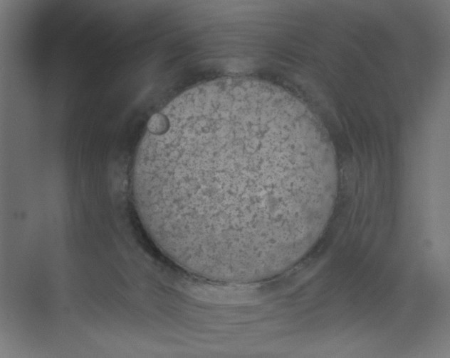 X0000073460032200608181317