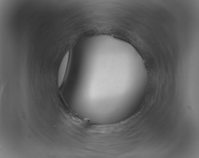 X0000073460033200608181317