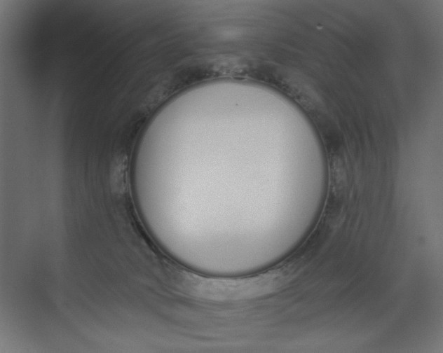 X0000073460034200608181317