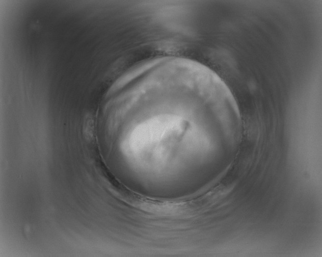 X0000073460036200608181317