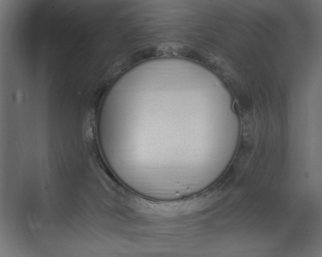 X0000073460038200608181316