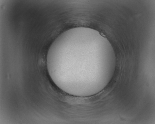 X0000073460040200608181316