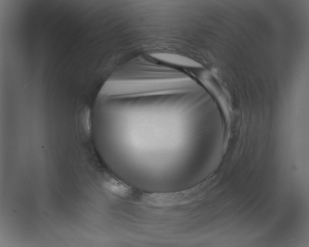 X0000073460041200608181316