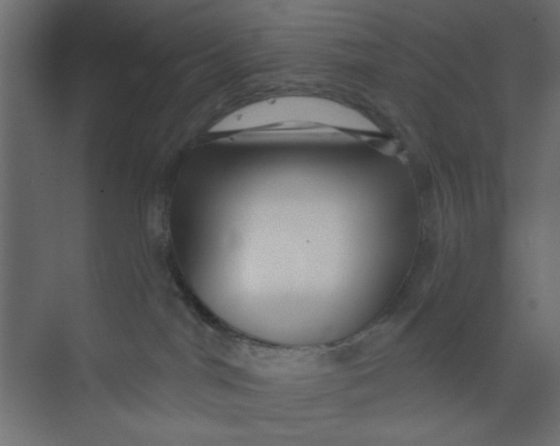 X0000073460044200608181316