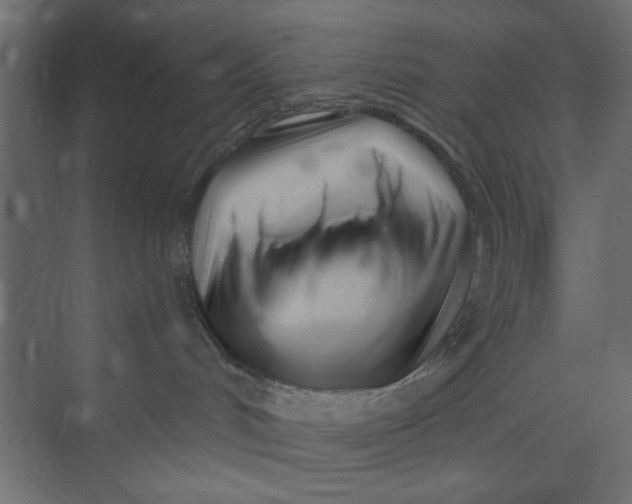 X0000073460048200608181316