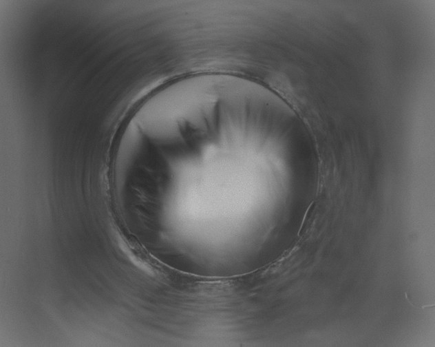 X0000073460050200608181316