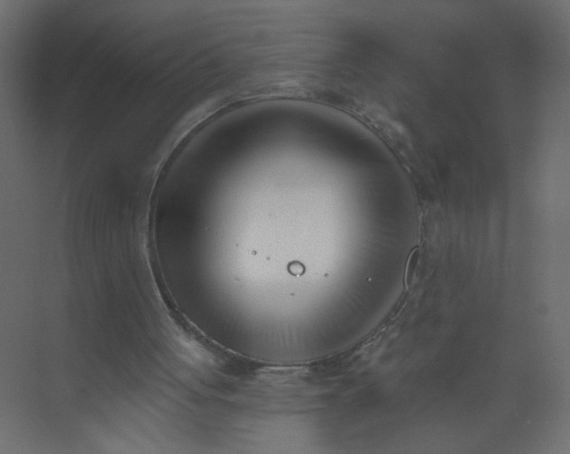 X0000073460051200608181316