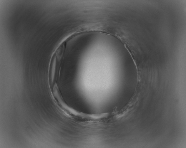 X0000073460052200608181316