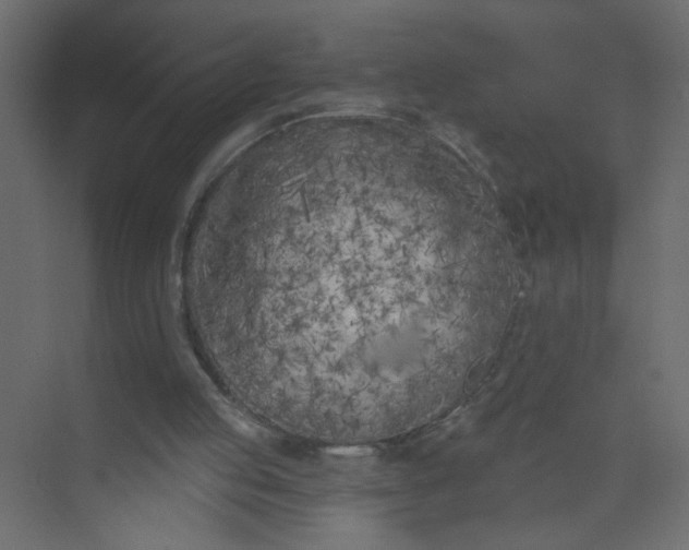 X0000073460053200608181316