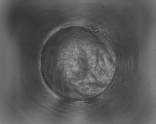 X0000073460054200608181316