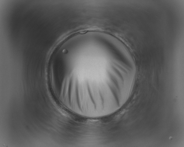 X0000073460055200608181316