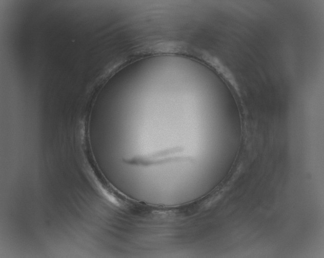 X0000073460057200608181316