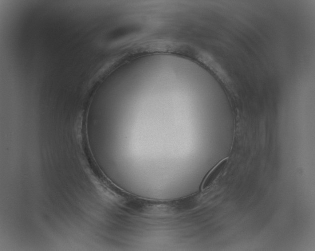 X0000073460058200608181316