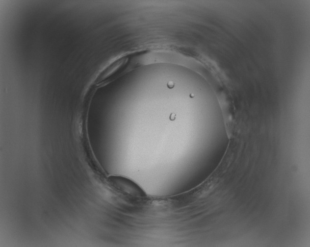 X0000073460060200608181316