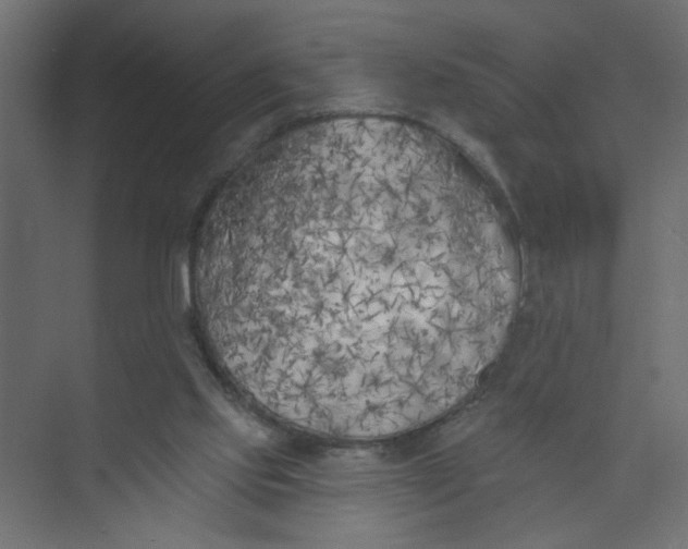 X0000073460061200608181316