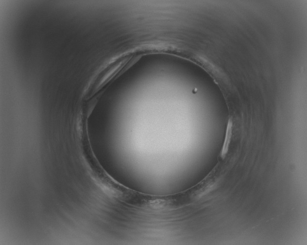 X0000073460064200608181316