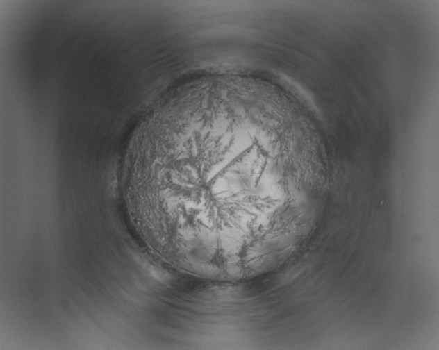 X0000073460065200608181316