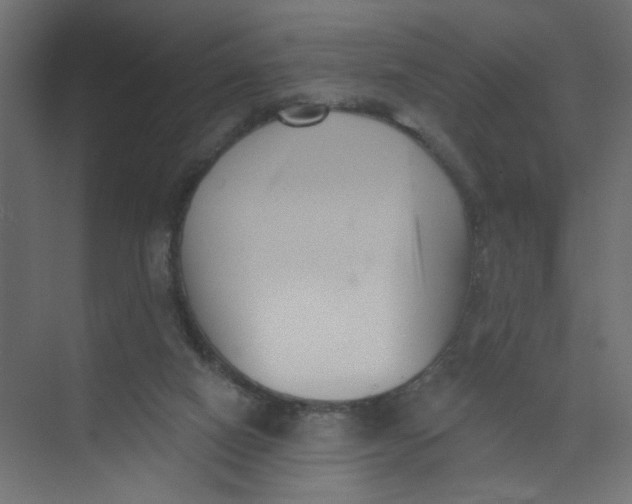 X0000073460066200608181316