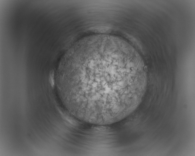 X0000073460069200608181316