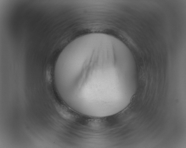 X0000073460074200608181316