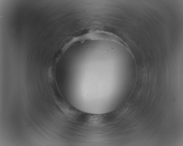 X0000073460088200608181316