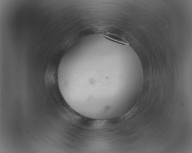 X0000073460090200608181316