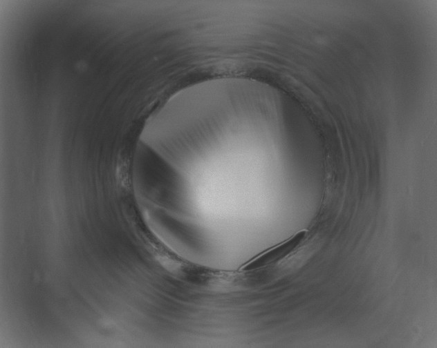 X0000073460096200608181316