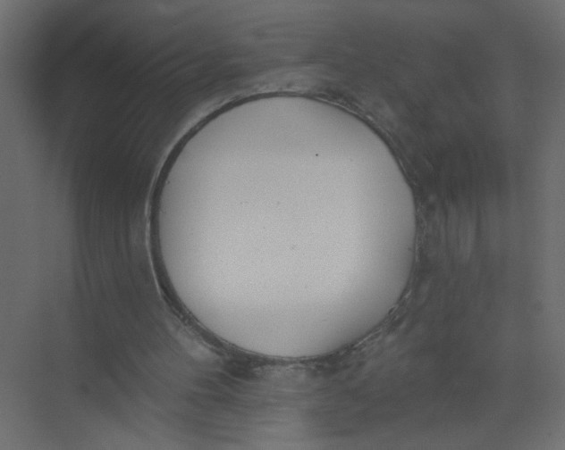 X0000073460100200608181315