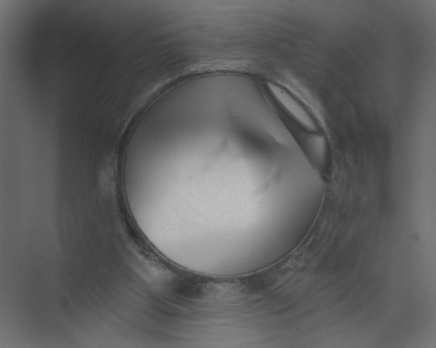 X0000073460107200608181315