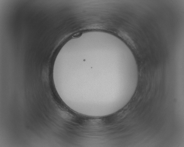 X0000073460108200608181315