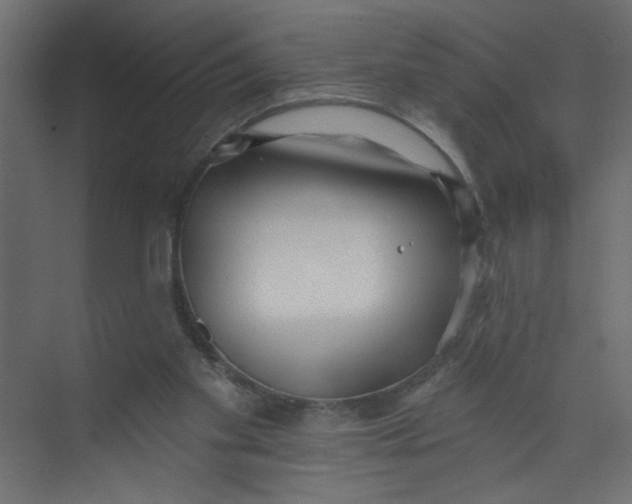 X0000073460109200608181315