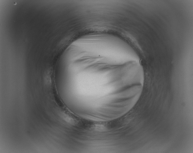 X0000073460114200608181315