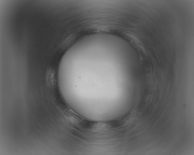 X0000073460123200608181315