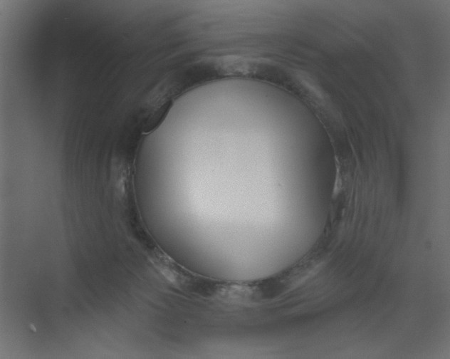 X0000073460125200608181315