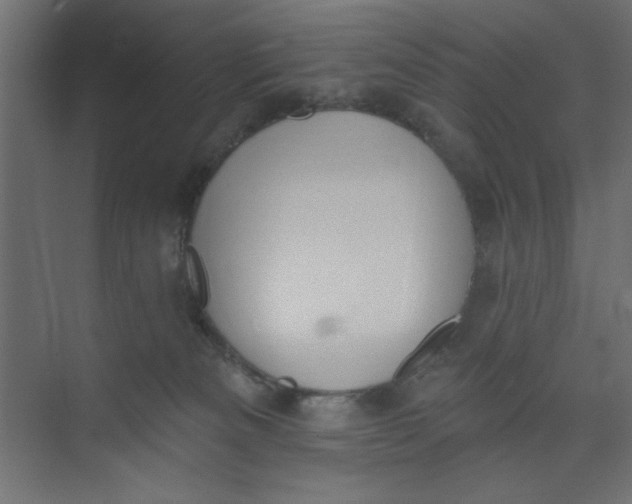 X0000073460133200608181315