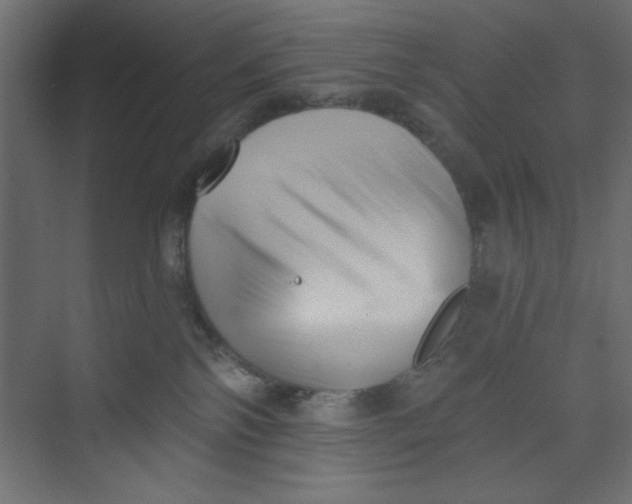 X0000073460138200608181315