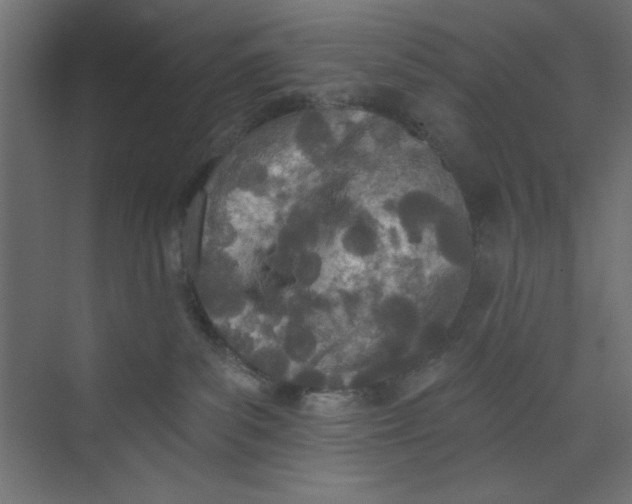 X0000073460139200608181315