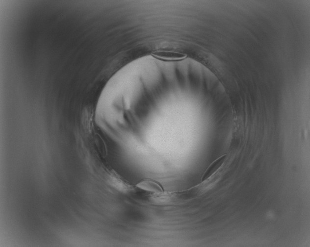 X0000073460142200608181315