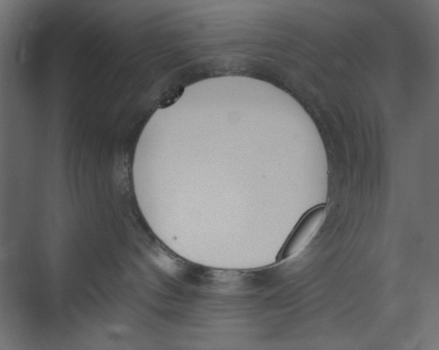 X0000073460144200608181315