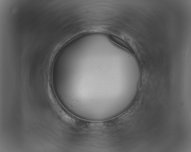 X0000073460145200608181314