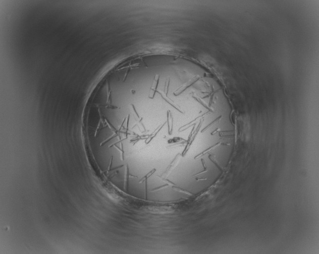 X0000073460147200608181314