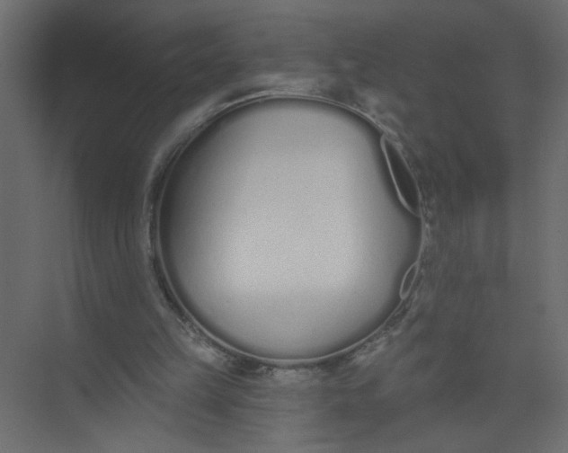 X0000073460149200608181314