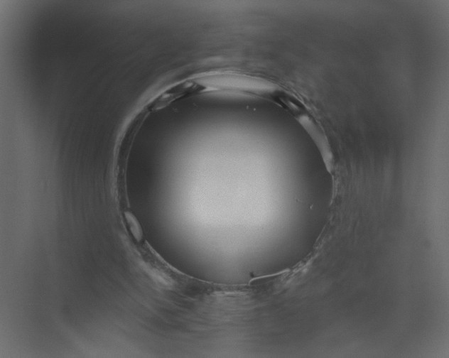 X0000073460150200608181314