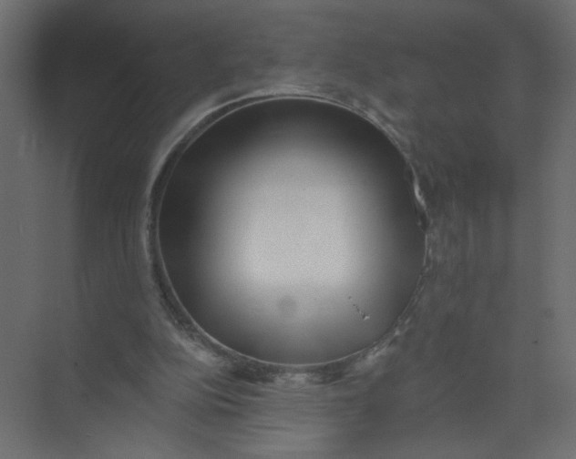 X0000073460152200608181314