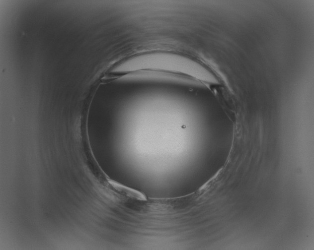 X0000073460154200608181314