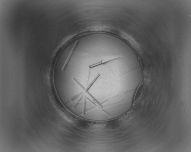 X0000073460155200608181314