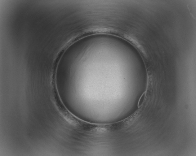 X0000073460159200608181314