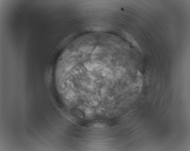 X0000073460163200608181314